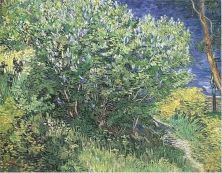 Haga click para ver la imagen ampliada 1889 lilacs.jpg